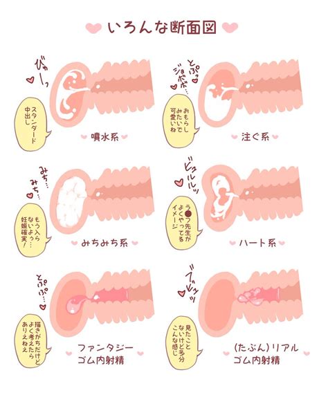 中出し断面図|【画像】断面図中出しされて女の顔になってるエロ画像まとめ